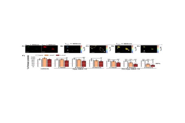 A) FA-Hyp-SBA-15 nanorészecskék konfokális mikroszkópos képe HeLa sejtekben (folsav: zöld színben, hypericin: vörös és narancssárga színben). Fluoreszcencia élettartam képalkotó mikroszkópiás (FLIM) elemzés az FA (B) és a Hyp (C-E) esetében. A fluoreszcencia élettartamokat 0 és 10 ns között színkódoltuk. F) Az FA-Hyp-SBA-15 által indukált PDT hatékonyságának értékelése. A 147 nM Hyp-el 1-3 órán keresztül sötétben, illetve 1 J/cm2 -es besugárzással kezelt sejtek MTT-vizsgálatának eredményei.