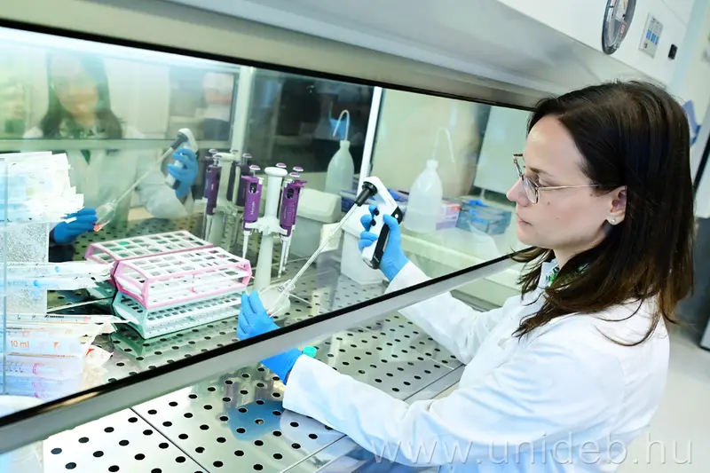 - A támogatás lehetővé teszi egy új kutatócsoport felállítását, amely posztdoktorokkal, PhD-hallgatókkal és hazai, valamint nemzetközi együttműködő partnerekkel közösen dolgozhat azon, hogy a kutatási eredményeket a jövőben a gyógyításban is alkalmazhassák. A Biofizikai és Sejtbiológiai Intézetben nagy múltja van a membránok biofizikai vizsgálatának és a különböző membránmikrodomének részletes karakterizálásának. Rendelkezésre állnak azok a korszerű szuperrezolúciós mikroszkópos és áramlási citometriás technológiák, amelyek nélkülözhetetlenek e kutatások magas színvonalú és célzott megvalósításához – mondta el Zákány Florina. A kutató hozzátette: emellett a korábbi együttműködéseknek köszönhetően már kialakultak azok a szakmai kollaborációs hálózatok, amelyek lehetővé teszik, hogy ezt a kutatási programot hatékonyan, összehangoltan és kiemelkedő eredményességgel folytassák. Az MTA-DE Lendület Membránlipid-terápia Kutatócsoport megalakulását követően idén ősszel kezdődhet el az ötéves munka. Sajtóközpont - CzA