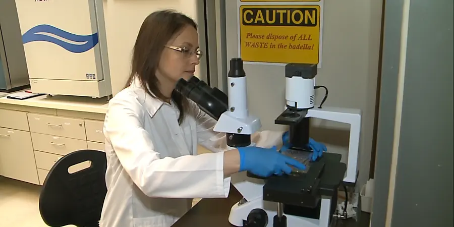 Dr. Z&aacute;k&aacute;ny Florina, a Debreceni Egyetem kutat&oacute;ja az idegsejtek elhal&aacute;s&aacute;t meg&aacute;ll&iacute;t&oacute;, a betegs&eacute;g lefoly&aacute;s&aacute;t m&oacute;dos&iacute;t&oacute; kezel&eacute;s kifejleszt&eacute;s&eacute;n dolgozik. Eg&eacute;szen pontosan egy ter&aacute;pi&aacute;s molekul&aacute;t szeretne elő&aacute;ll&iacute;tani. 