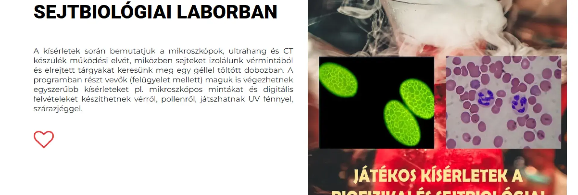 Kutatók Éjszakája