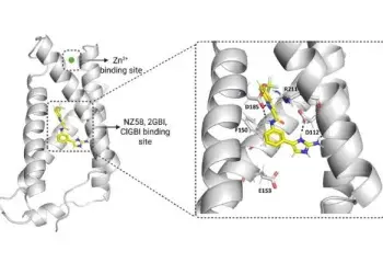 A kinetic trap mechanism underlies hHv1 inhibition by NZ-58